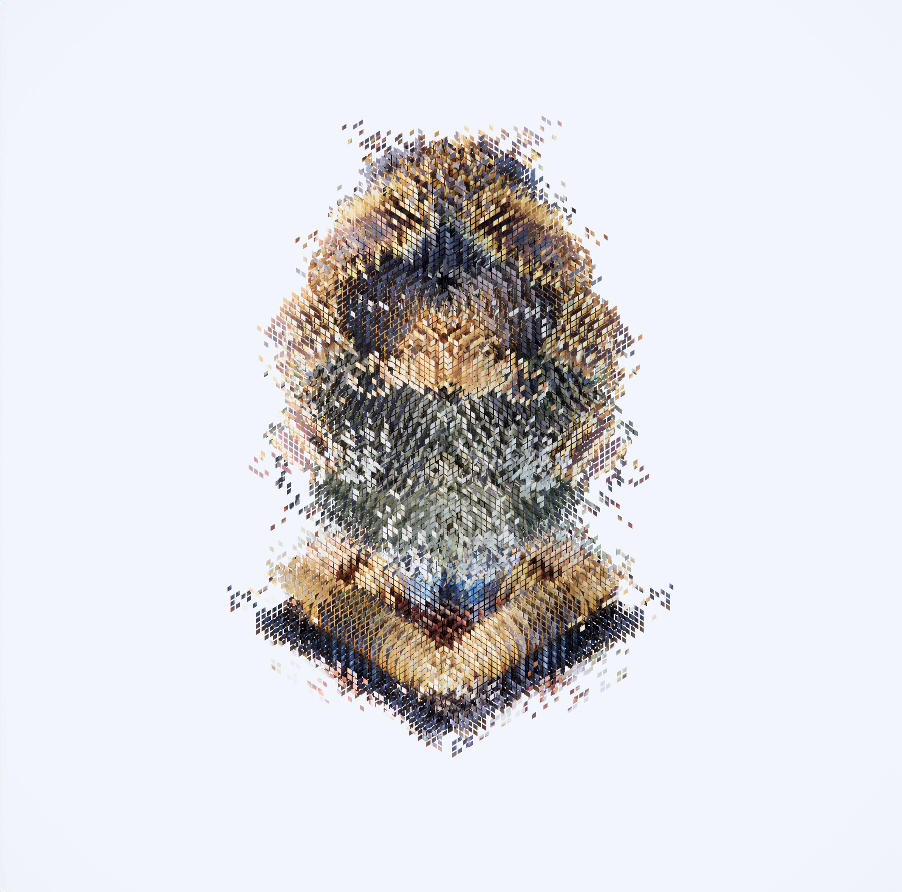 Ecosofía digital — axonometría de la obra, vista 2