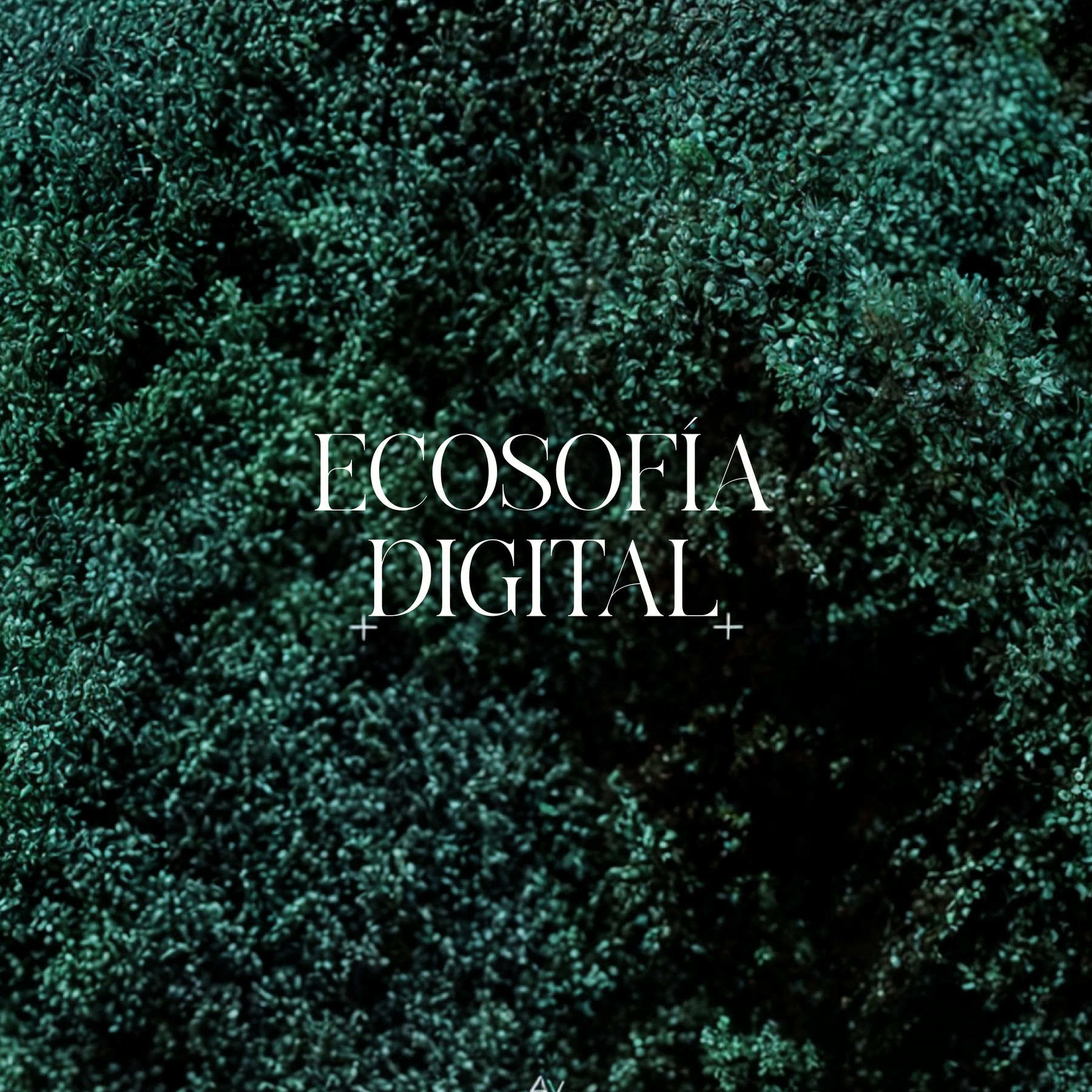 Ecosofía digital — video arte