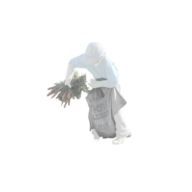 Lxs nadie, dataset — 09