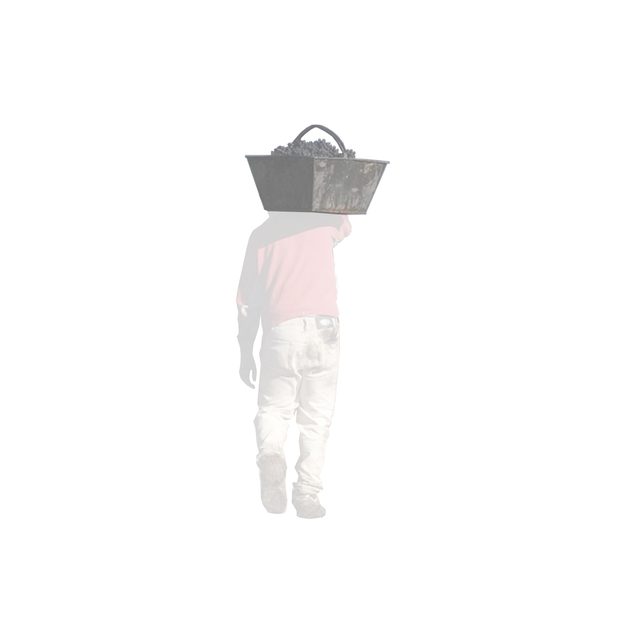 Lxs nadie, dataset — 17